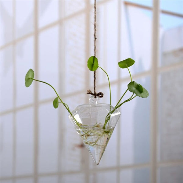 Clear Glass Flower Planter