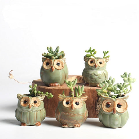5PcsSet Ceramic Owl Planters